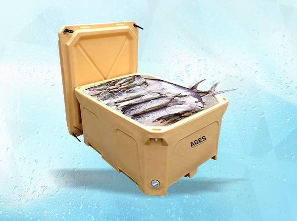 Fish Boxes/insulated Shippers